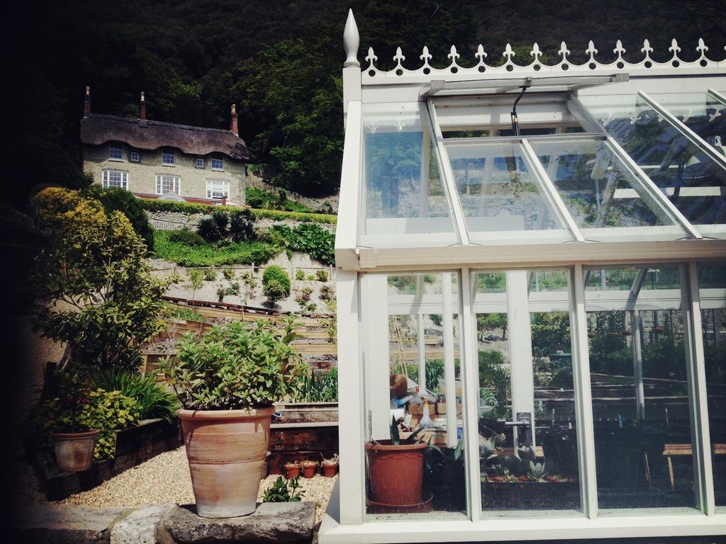 Hillside Ventnor Hotell Eksteriør bilde